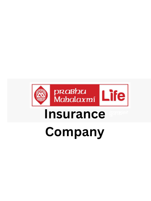 Insurance-Company